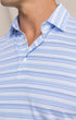 Southern Tide Polos Driver Wild Winds Stripe Polo in Heather Blue Stream