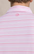 Southern Tide Polos Driver Wild Winds Stripe Polo in Heather Sea Pink