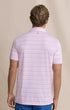 Southern Tide Polos Driver Wild Winds Stripe Polo in Heather Sea Pink