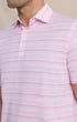 Southern Tide Polos Driver Wild Winds Stripe Polo in Heather Sea Pink