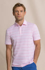 Southern Tide Polos Driver Wild Winds Stripe Polo in Heather Sea Pink