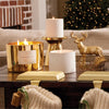 Thymes Home Frasier Fir Ceramic Petite Candle
