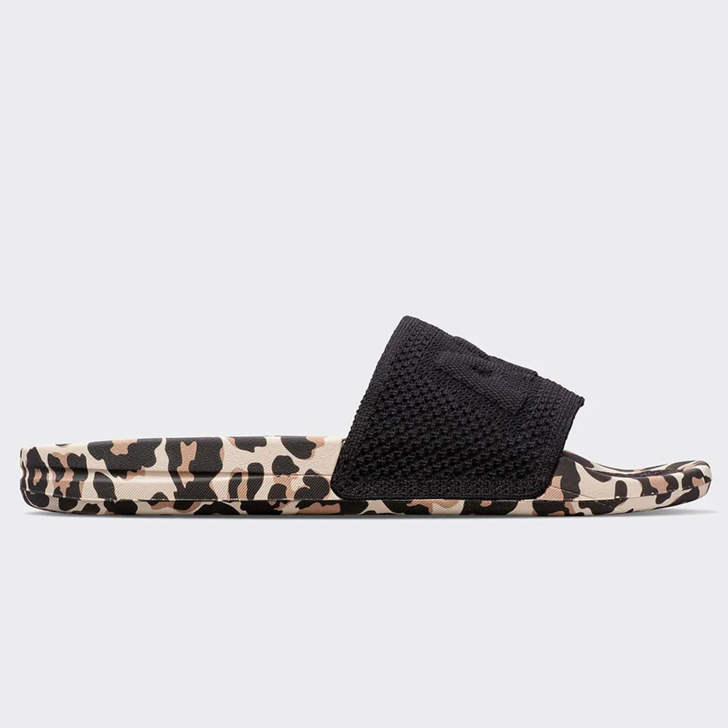 Apl 2024 leopard slides